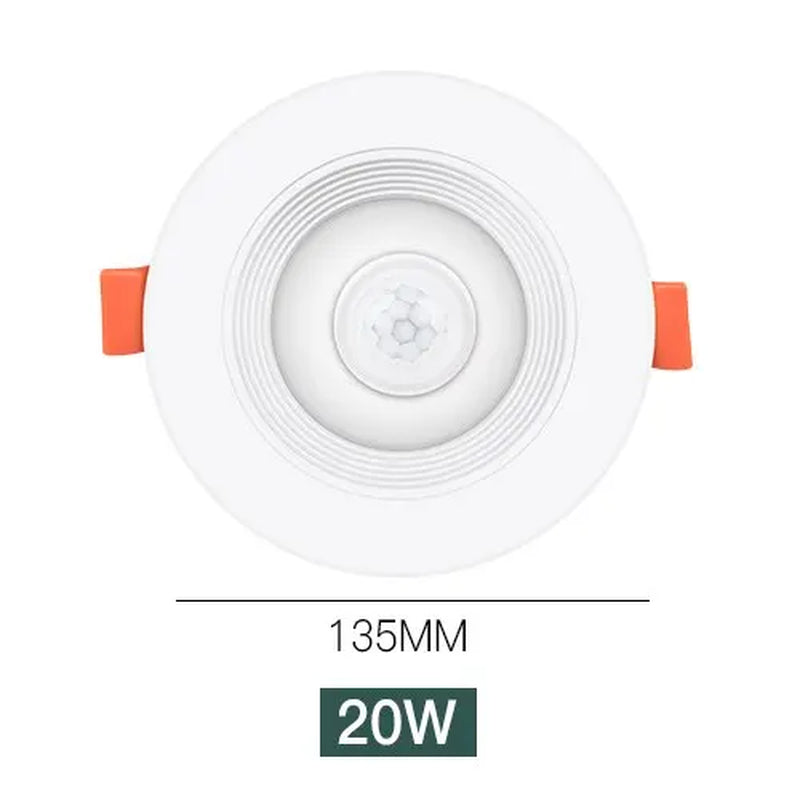 LED Downlights PIR Motion Sensor down Light 5W 10W 15W 20W Recessed Ceiling Light Cold White Night Lamp LED Spotlight Downlight
