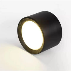 Dimmable Light Mounted Light 5W 7W 9W12W 15W LED down Light AC86V~265V Ceiling Light SMD Led Home Lighting Ceiling Light