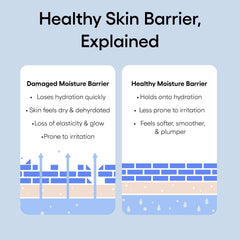 Water Bank Blue Hyaluronic Intensive Moisturizer: Hydrating Face Cream for Extra Dry Skin with Squalane & Peptide for Skin Barrier Support, Dermatologist-Tested